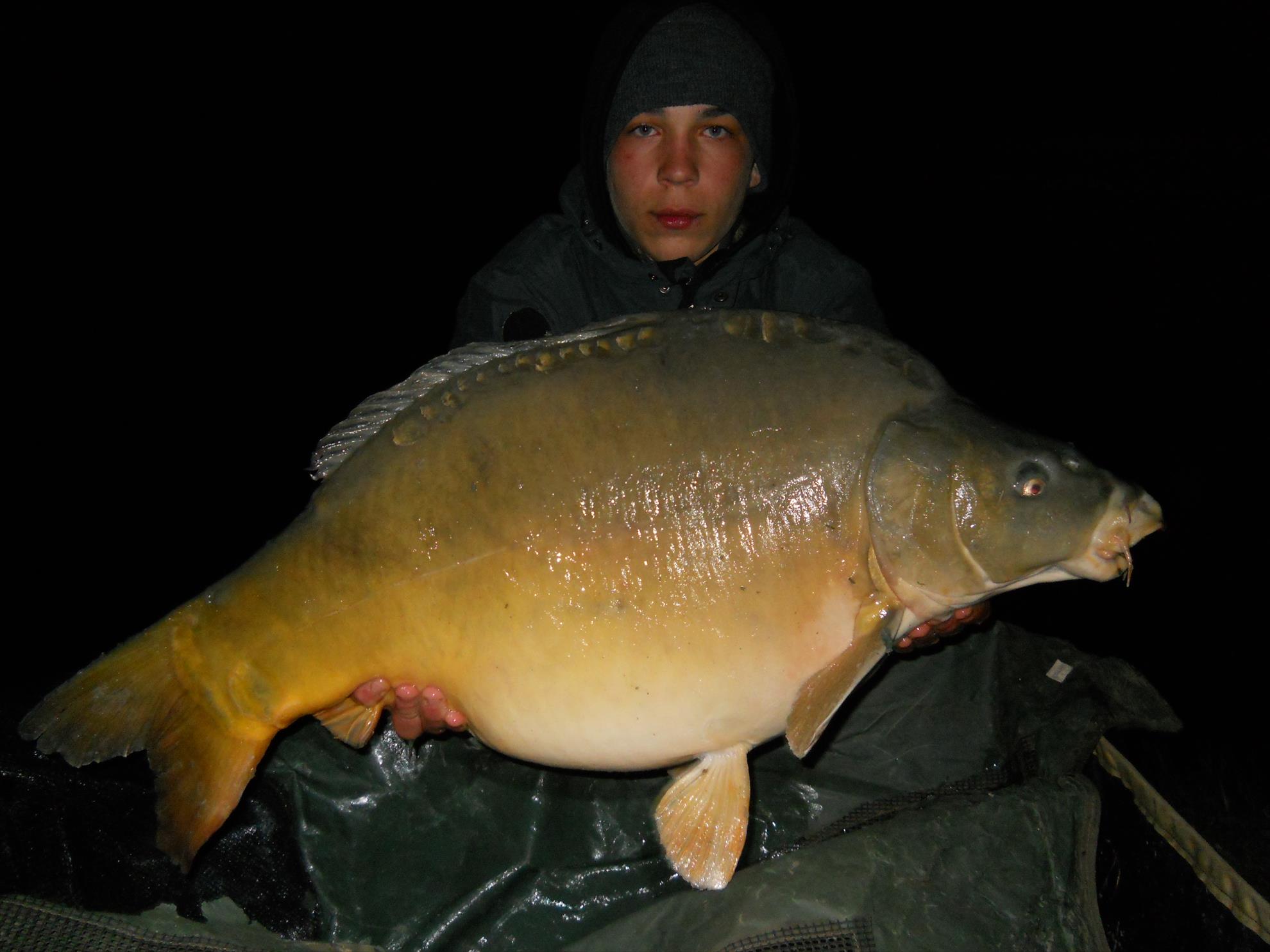 Martie 2013 - Harsany - Martie 2013